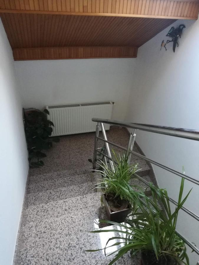 Drago Kremenjas Apartment Delnice Exterior foto